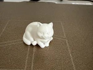 Cute mini chubby cat