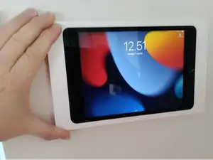 iPad Mini 4 Wall Mount (Flush Wall Holder)