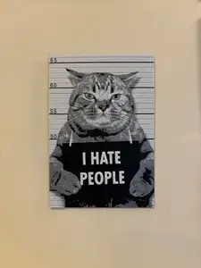 hueforge cat