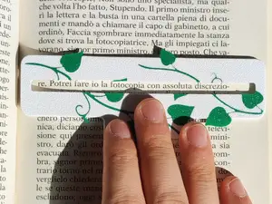 Guida per la lettura.