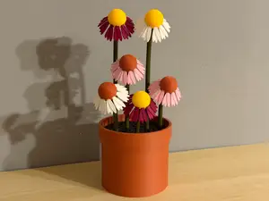 Echinacea Flower - Modular
