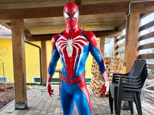 Spiderman Real Dimension