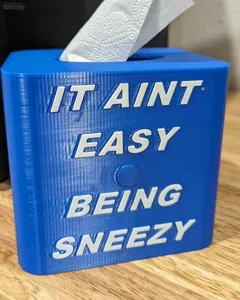 Tissue Holder from Toilet Paper Roll