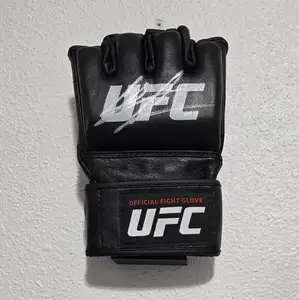 MMA Glove wall mount