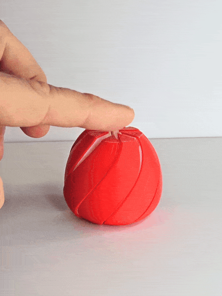 SpiralTwist Apple Fidget