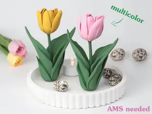 Elegant Tulip - Multicolor (AMS)