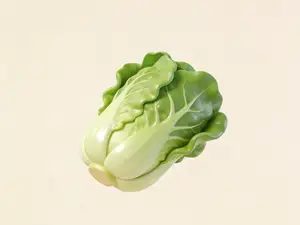 白菜-仿真蔬菜系列幼儿认知百科-儿童涂色过家家玩具