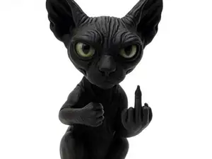 Chat Sphynx rebelle