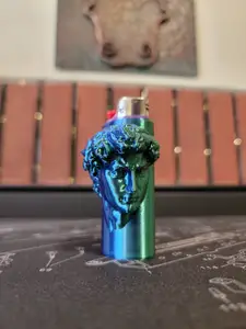 David by Michelangelo BIC Sleeve