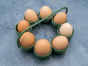 Panier œuf poule