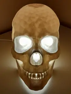 Teschio lampada