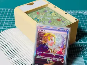 ポケモンカード デッキケース ゼロの秘宝 ブライアの本