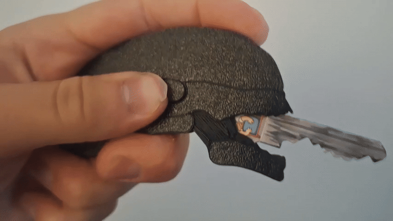 Alien key cover