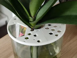 Cache-Pot - Support tuteur pour Plantes