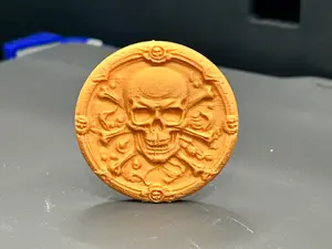 Pirate Party Treasure Coin