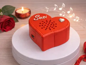 HeartSound – Personalisierbare MP3 Herz-Musikdose
