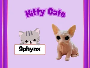 Kitty Cats: Sphynx