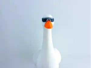 Sunglasses for Desk Goose