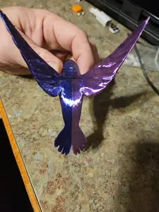 Humming bird