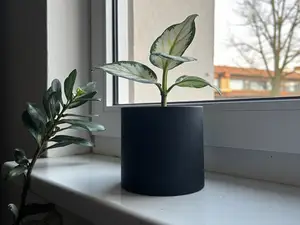 Clean Flower Pot and Planter for Plants Flowerpot