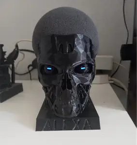 T800 alexa skull