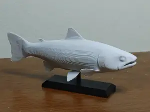 Rainbow Trout Fish Mount