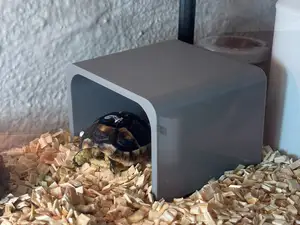 turtle house terarium