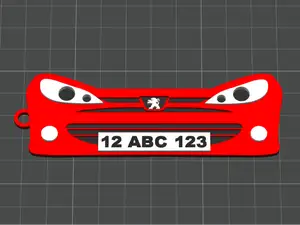 Peugeot 206 anahtarlık plakalı özelleştirilebilir