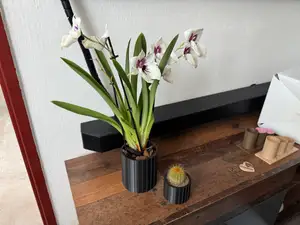 Big Flowerpot