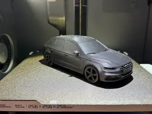 Audi A3 RS3 Modell Black Edition