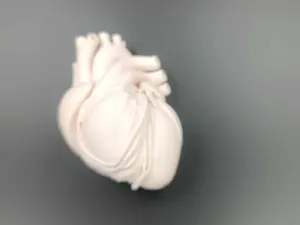Realistic 3D Heart Model – A Unique & Stunning 