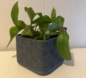 PLANTER