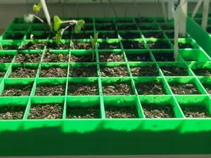 Seedling Starter Box 8×8