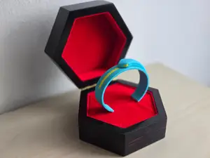 Snake Miraculous Bracelet