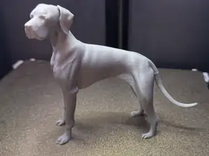 Great Dane