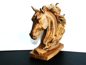 Pferd Kopf