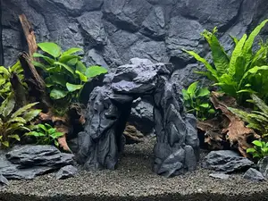Aquarium Terrarium Natural Rock Archway Cave