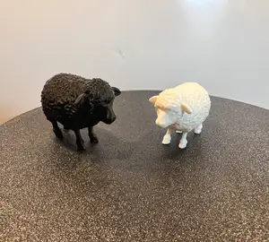 Lamb (Black Sheep)