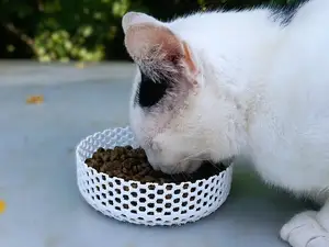 Honeycomb Food Bowl