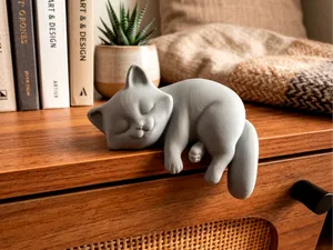 Sleeping Cat