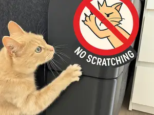 Kratzschutz (Katzen)Boxspringbett IKEA Bett Schutz