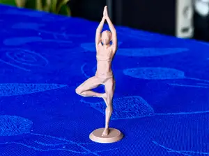 Woman Yoga position - VRKSASANA