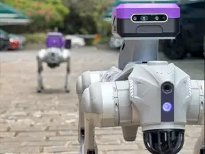 BotBrain Open Source (BBOSS)