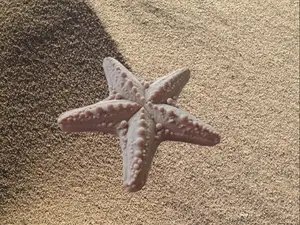 Seestern / Starfish Deko Maritim skalierbar