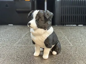 Sitting Border Collie Puppy - Realistic B&W Decor