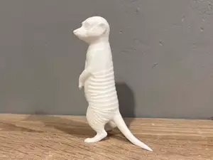 Meerkat / Surikata - Africa - Animal - Decor