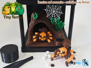 Mexican Redknee Tarantula – Tiny, Fuzzy, Poseable!