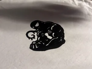 t-shirt print (iron it on)