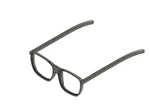 Glasses
