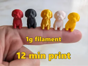 Small Tiny Mini Micro Labrador